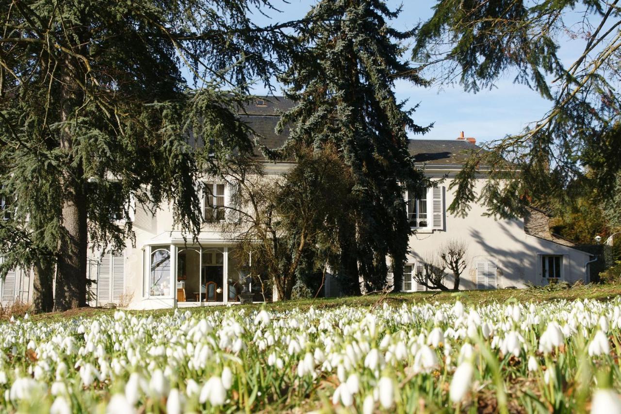 Appartements Detente & Nature - Domaine De La Thiau Briare Buitenkant foto