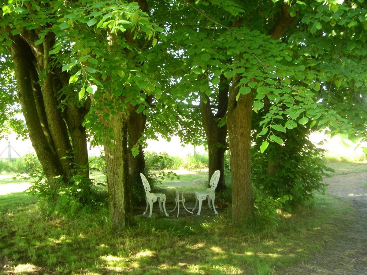 Appartements Detente & Nature - Domaine De La Thiau Briare Buitenkant foto