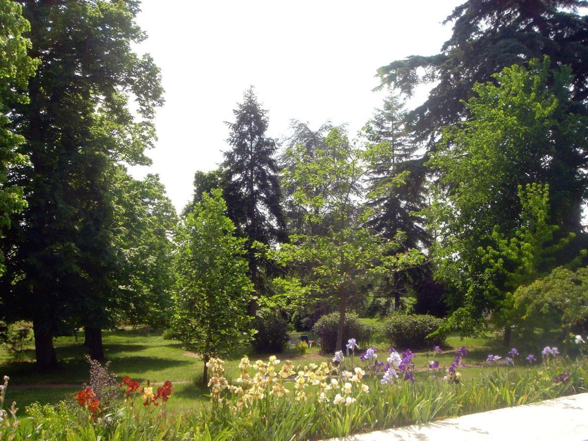 Appartements Detente & Nature - Domaine De La Thiau Briare Buitenkant foto